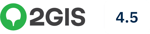 2GIS
